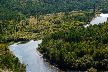 Nehir yatağının kıvrımları Yeşil orman, nehir vadisi