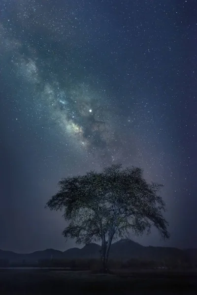 Night Sky Stars Milky Way Big Tree Lam Isu Reservoir — Stock Photo, Image