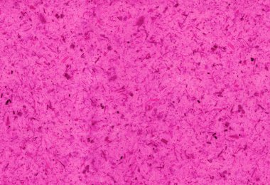 Siyah zemin kağıdın doğal dokusu..