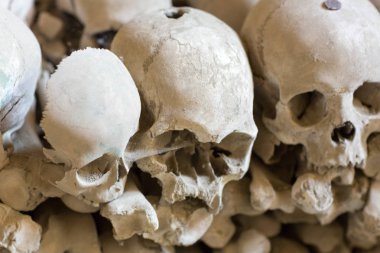 Kafatası ve kemikler antik mezarda, Naples