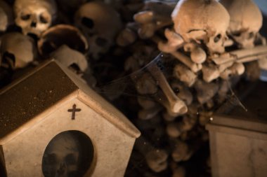 Kafatası ve kemikler antik mezarda, Naples