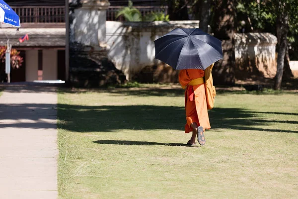Giovane Monaco Buddista Monastero Luang Prabang Laos — Foto Stock