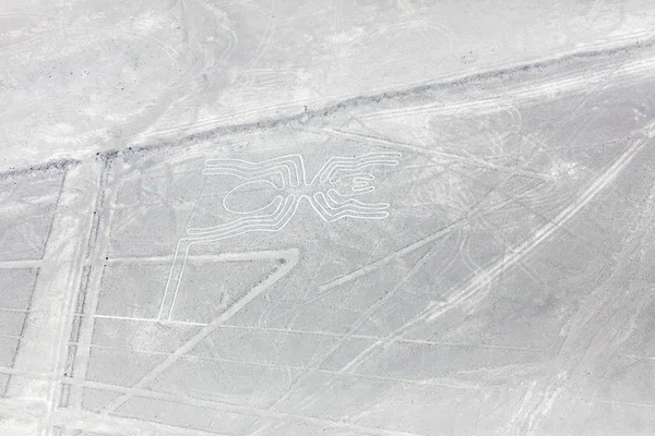 Mysterious figures Nazca desert from the aircraft