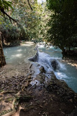 su Kuang Si şelale, Luang Prabang. Laos