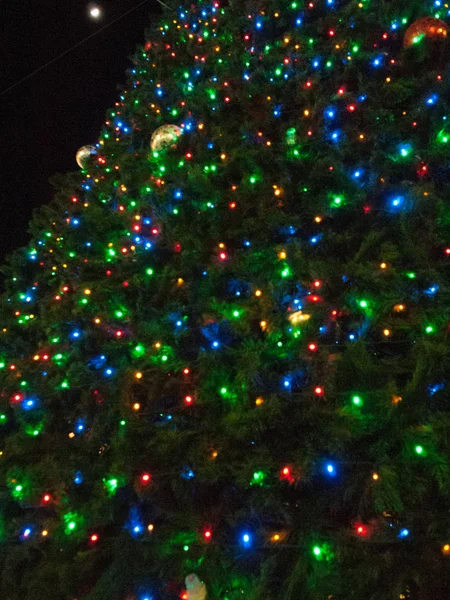 Photo Christmas Lights Tree — Stock Photo, Image