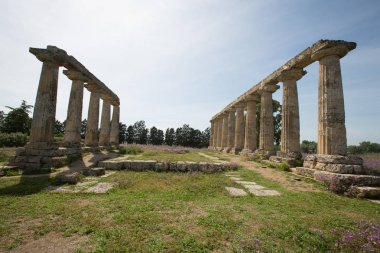 Palatine tablolar, Hera Sanctuary Metaponto, Basilicata, İtalya