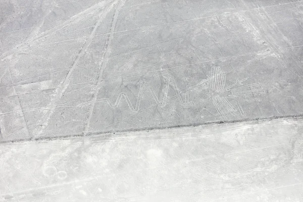 Mysterious Figures Nazca Desert Aircraft — Stock Photo, Image