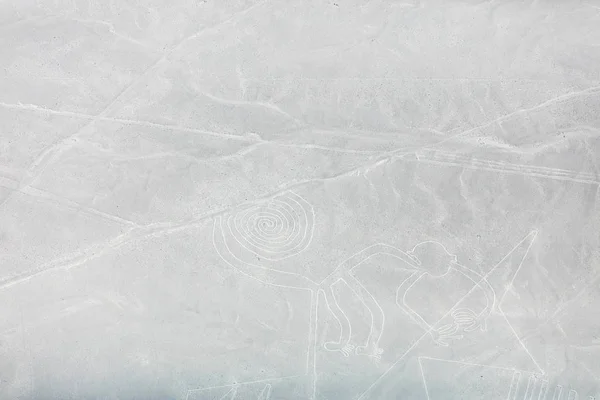 Mysterious figures Nazca desert from the aircraft