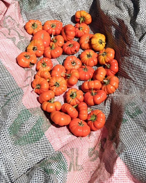 Κόκκινες Πιπεριές Ψέματα Σχετικά Μια Πετσέτα Ανοιχτή Αγορά Αφρική — Φωτογραφία Αρχείου