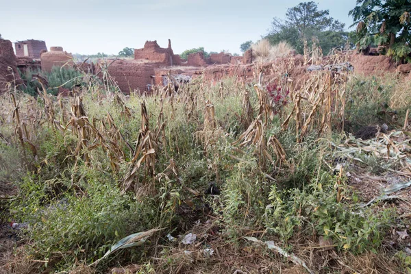 mud house in caratheristic village in Burkina Faso