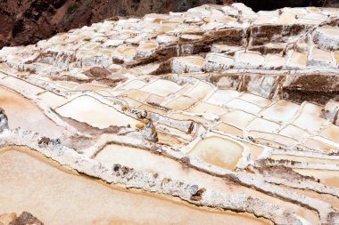 Cusco, Peru yakınlarındaki Maras (Salinas de Maras) tuz buharlaşma göleti