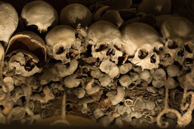 Kafatası ve kemikler antik mezarda, Naples