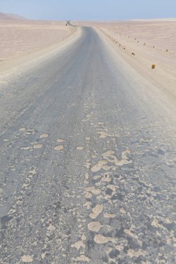 Lima Peru yakın Paracas Ulusal Rezerv