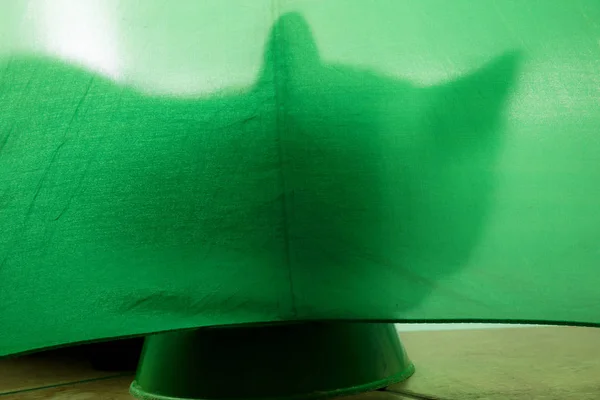 Sombra Gato Abaixo Contexto Verde Com Croquetes — Fotografia de Stock