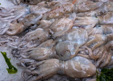 Açık seamarket, Napoli maruz Öludeniz balık