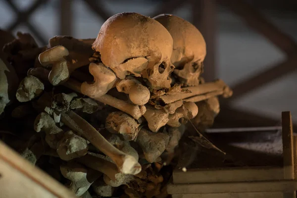 Череп Кістки Стародавній Склеп Неаполь — стокове фото