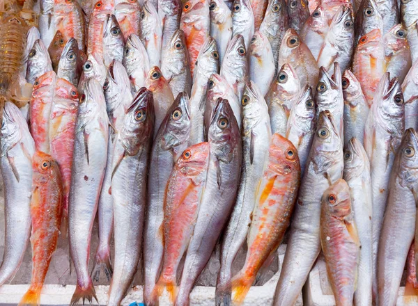 Peces Mediterráneos Expuestos Mar Abierto Nápoles — Foto de Stock