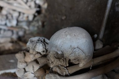 Kafatası ve kemikler antik mezarda, Naples