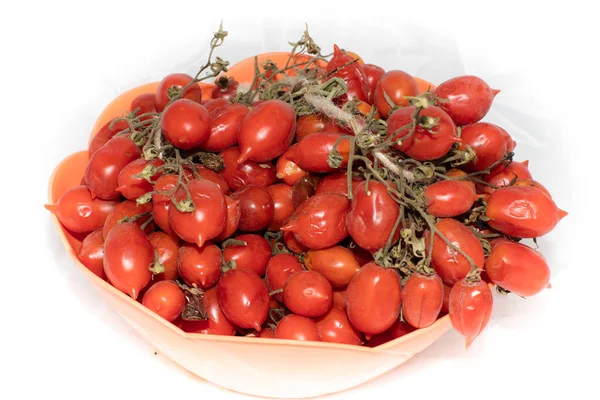 Ντομάτες Του Βεζούβιου Μικτή Pieennolo Νάπολη — Φωτογραφία Αρχείου