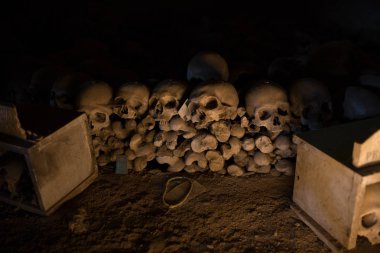 kafatası ve kemikler