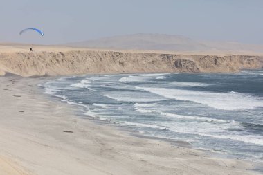 Flamingolar Paracas, başına