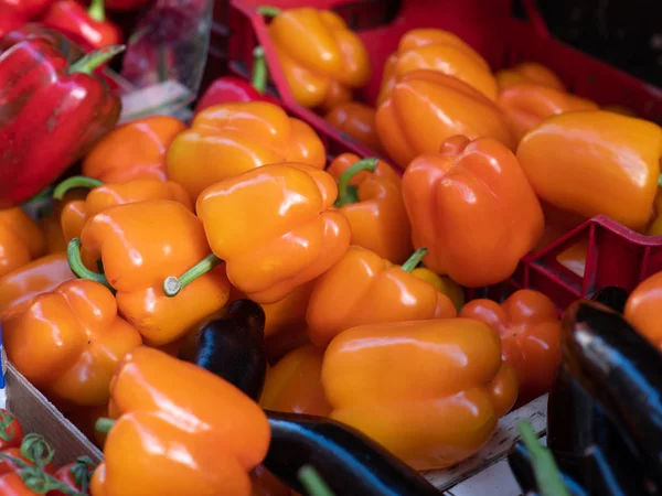 Χρωματιστές πιπεριές εκτεθειμένες — Φωτογραφία Αρχείου