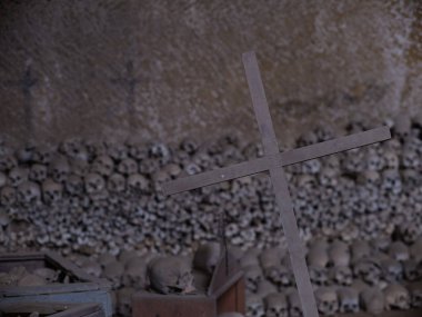 kafatası ve kemikler 