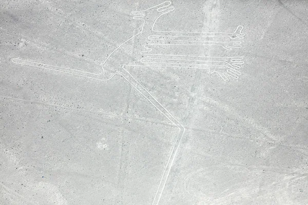 Nazca lines from the aircraft — Stock Photo, Image