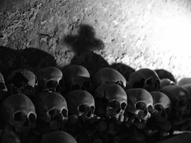 kafatası ve kemikler 