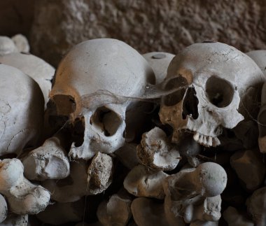 kafatası ve kemikler