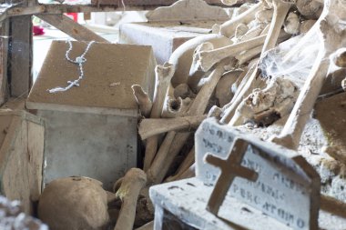 kafatası ve kemikler