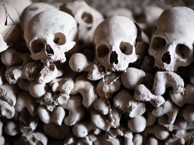 kafatası ve kemikler 