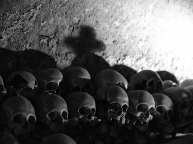 kafatası ve kemikler 