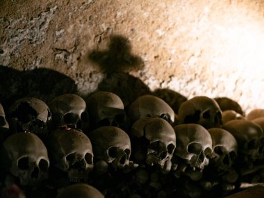 kafatası ve kemikler 