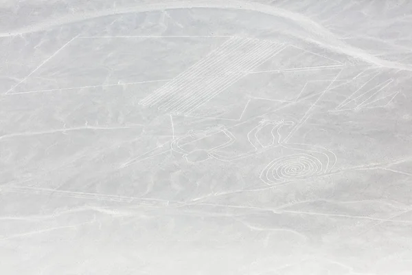 Nazca lines from the aircraft — Stock Photo, Image