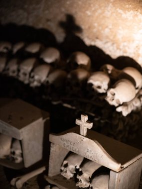 kafatası ve kemikler 