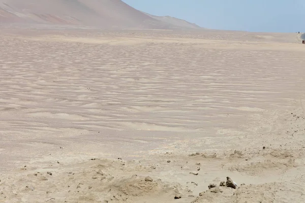 Reserva de Paracas, Per —  Fotos de Stock