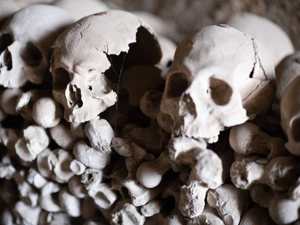 Crânio e ossos — Fotografia de Stock