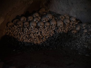 kafatası ve kemikler 