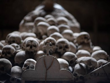 kafatası ve kemikler 