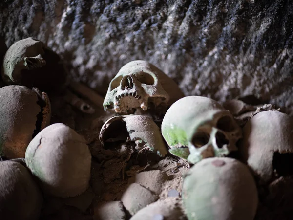 Skull and bones — Stock Photo, Image