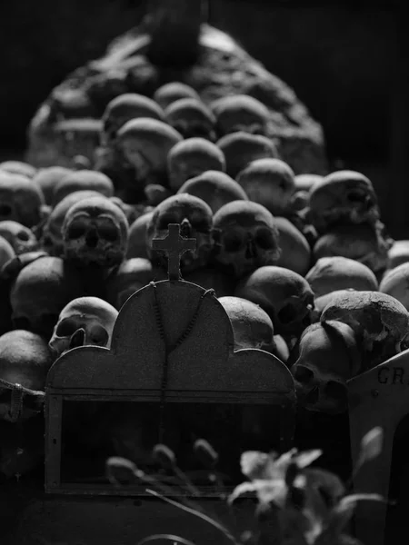 Skull and bones — Stock Photo, Image
