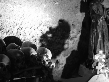 kafatası ve kemikler 