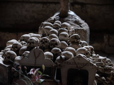 kafatası ve kemikler 