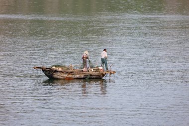 Vietnam 'daki Halong Körfezi' nde balıkçı.