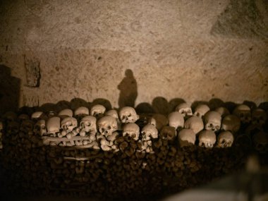 kafatası ve kemikler 