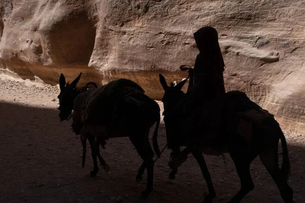 Siq van Petra — Stockfoto