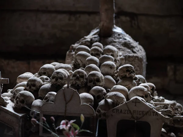 Cráneo y huesos —  Fotos de Stock