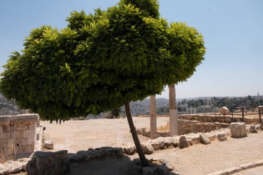Amman cìtadel harabeleri