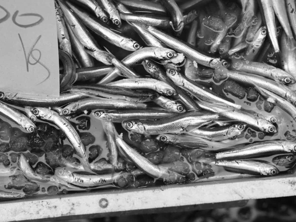 Pescado en el mercado marítimo — Foto de Stock